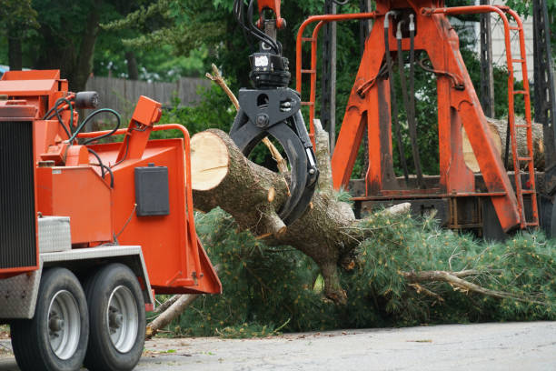 Best Weed Control  in Red Wing, MN